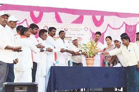 dvd nss camp