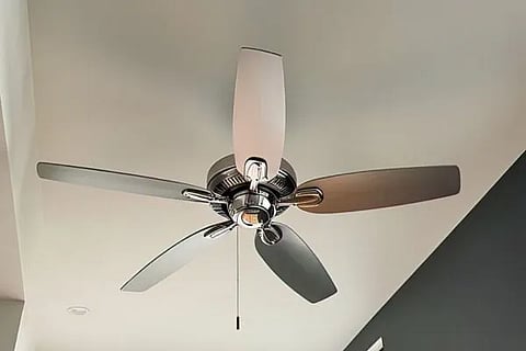 fan