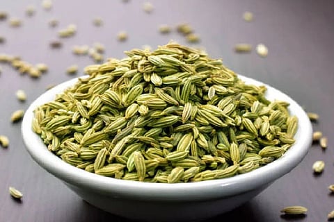 fennel1