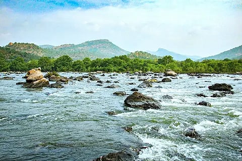 kaveri