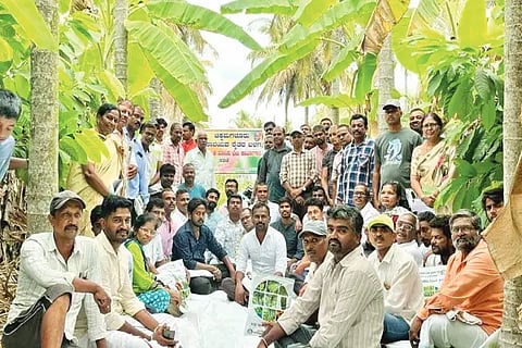 kdr krushi