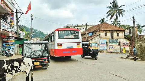 kls bus
