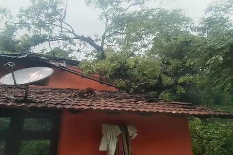 kls rain