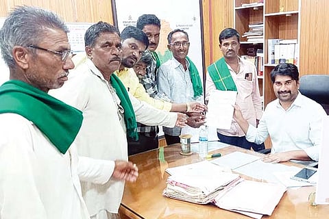lingasugur formaars appeal