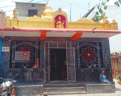 lxr ELU MAKKALA TAYI
