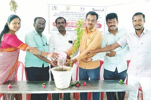 maski agri