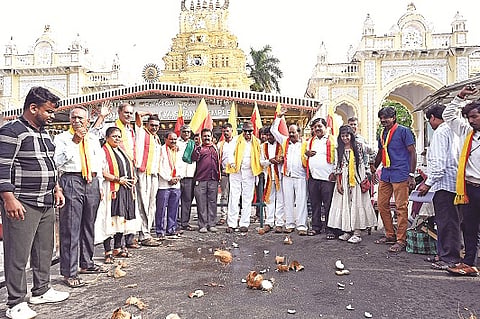 mysore