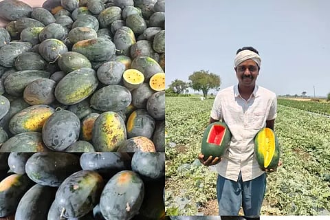 watermwelon story