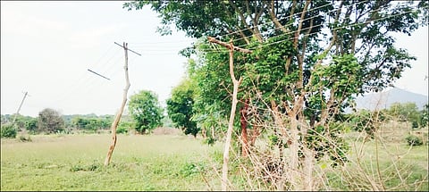 02 05 2025 KLR_PAGE_03