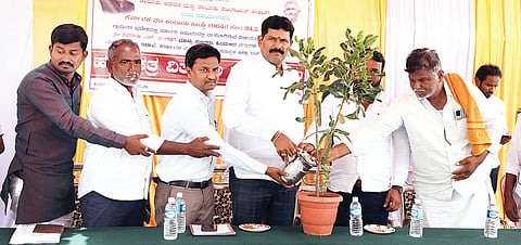 Distribution Program