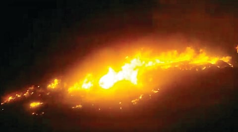 ಚಿಯಾ ಬೆಳೆಗೆ ಬೆಂಕಿ