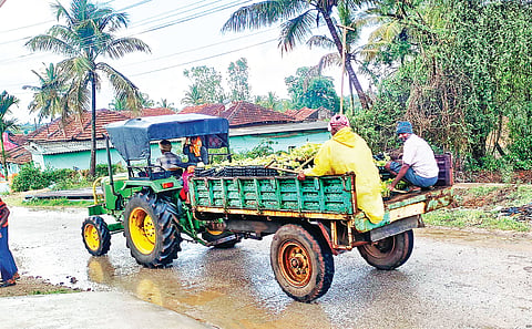ಚಪ್ಪರದಹಳ್ಳಿ ವ್ಯಾಪ್ತಿಯಲ್ಲಿ ಮಳೆಯ ಸಿಂಚನ