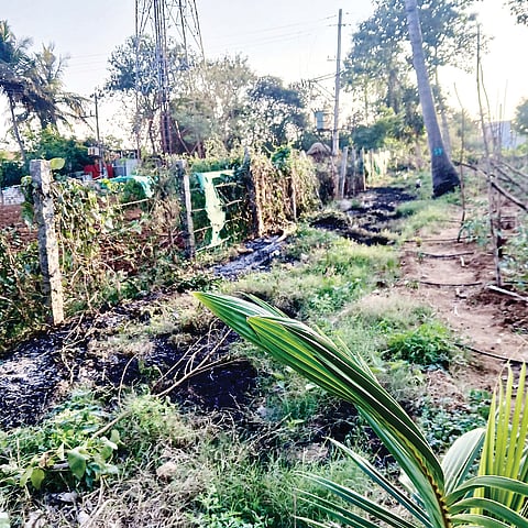 ಶಾರ್ಟ್ ಸರ್ಕ್ಯೂಟ್‌ಗೆ ಕೃಷಿ ಪರಿಕರ, ಬೆಳೆ ಭಸ್ಮ