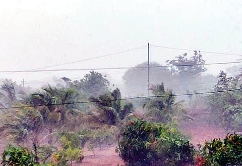 rain
