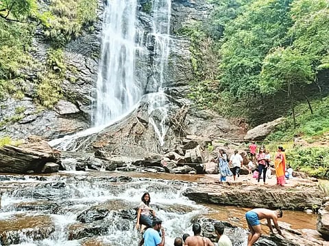 19LDH3 falls
