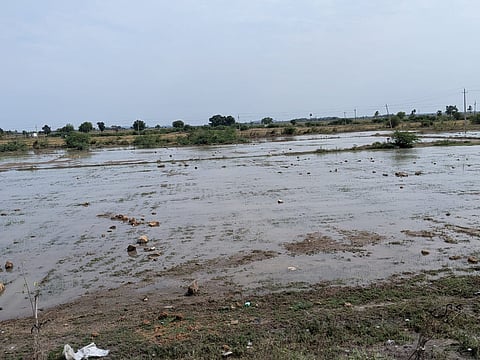 raichur
