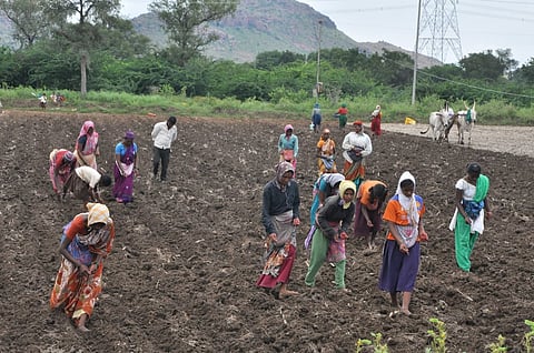 district koppal agriculture activities farmers
