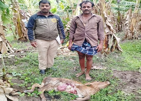 28rajesh2