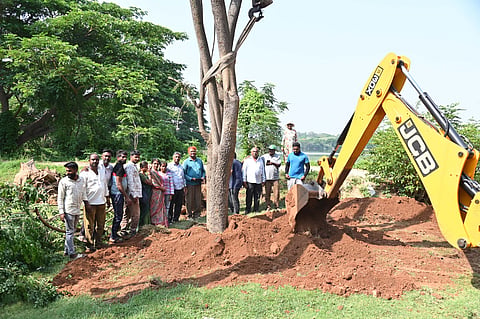 34