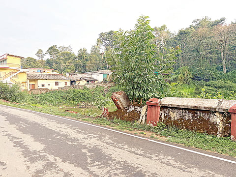 ಮಳೆಗೆ ಹಲವೆಡೆ ಹಾನಿ