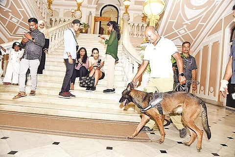 mysore