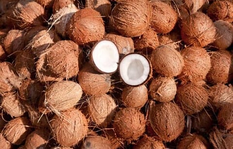 COCONUT Lead
