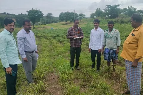 Chilli crop rots due to continuous rain