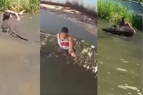 Crocodile Attack