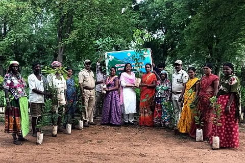 Efforts to restore forest resources