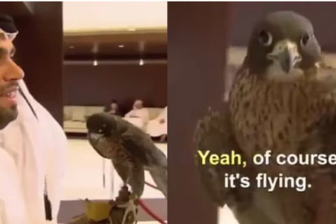 Emirati Man Flies With Pet Falcon Holding Its Own Passport