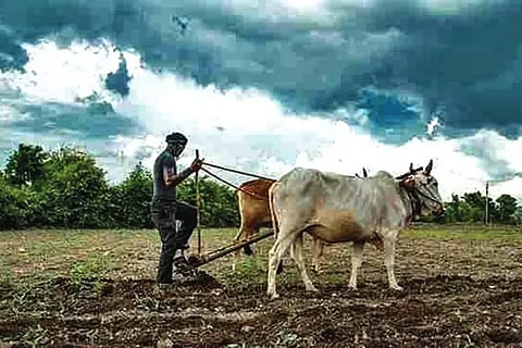Farmers ready for monsoon sowing