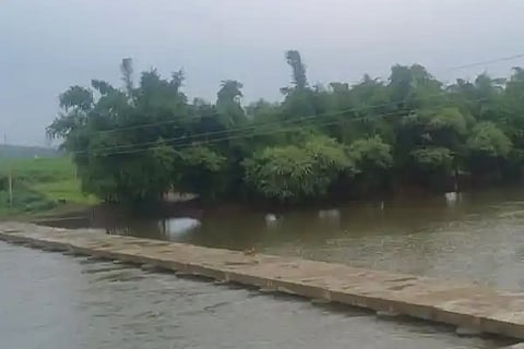 Ghataprabha Odalu fill