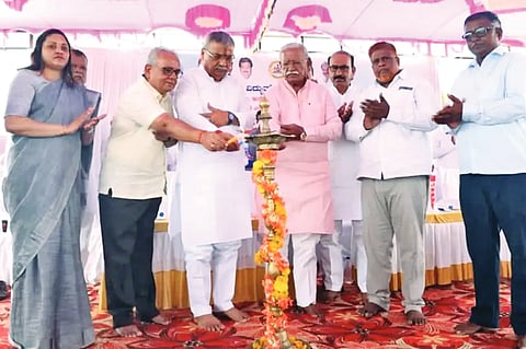 Government plan to reach the target