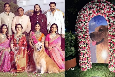 Heartbreak in Ambani Household