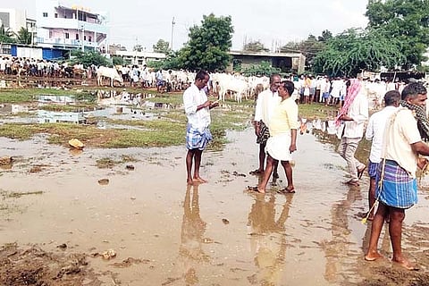 Huvinahadagali cattle fair