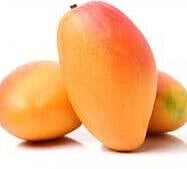 Mango 4