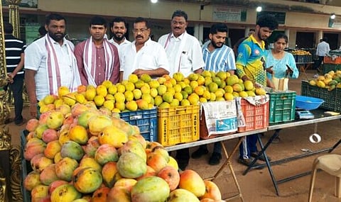 Mango Lead