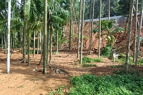 New Project (13)
