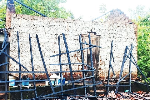 New Project (22)