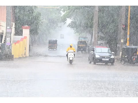 New Rain