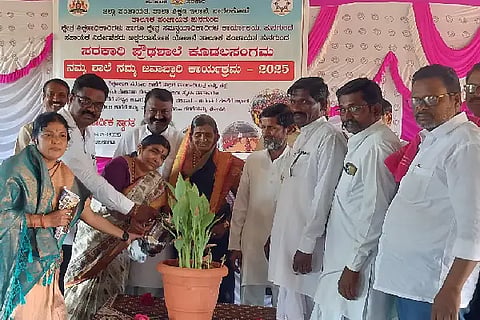 Quality education in government school