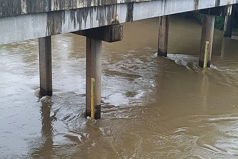 Rain