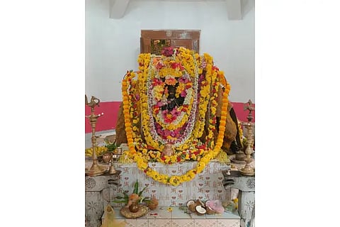 Shree Bhadrakali Devi Siddapura