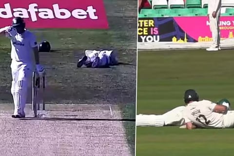 Swarm of Bees Force Players and Umpires to Lie Flat on Cricket Ground