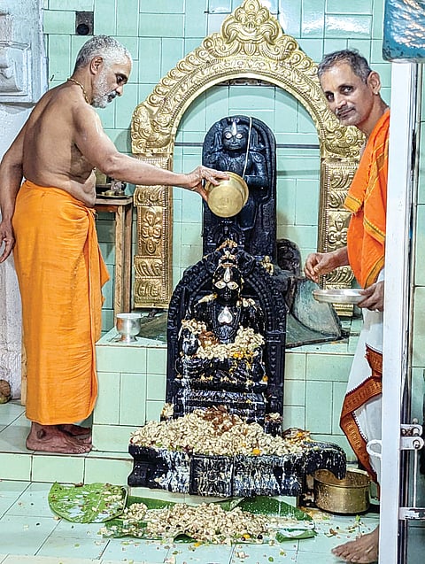 TNP Swamiji 1
