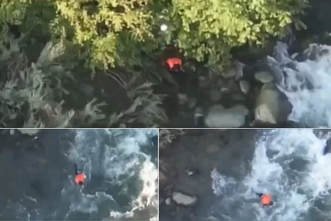 Video Viral