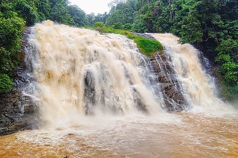 abbifalls