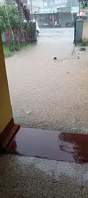 ald rain