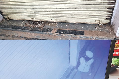 Dvd-1