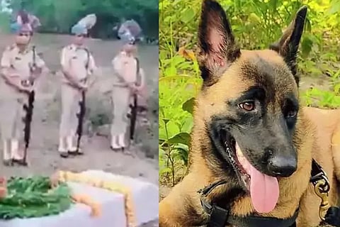 CRPF Rolo